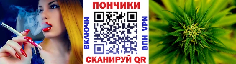 Бошки Шишки индика Олонец
